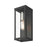 Livex Gaffney 1 Light Outdoor ADA Medium Wall Lantern