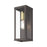 Livex Gaffney 1 Light Outdoor ADA Medium Wall Lantern