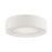 Livex Ellsworth Semi-Flush Mount