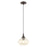 Livex Lighting Art Glass 1 Light Beehive Mini Pendant