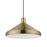 Livex Geneva 1 Light Pendant, Brass/Brass Metal/White Inside