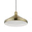 Livex Geneva 1 Light Pendant, Brass/Brass Metal/White Inside