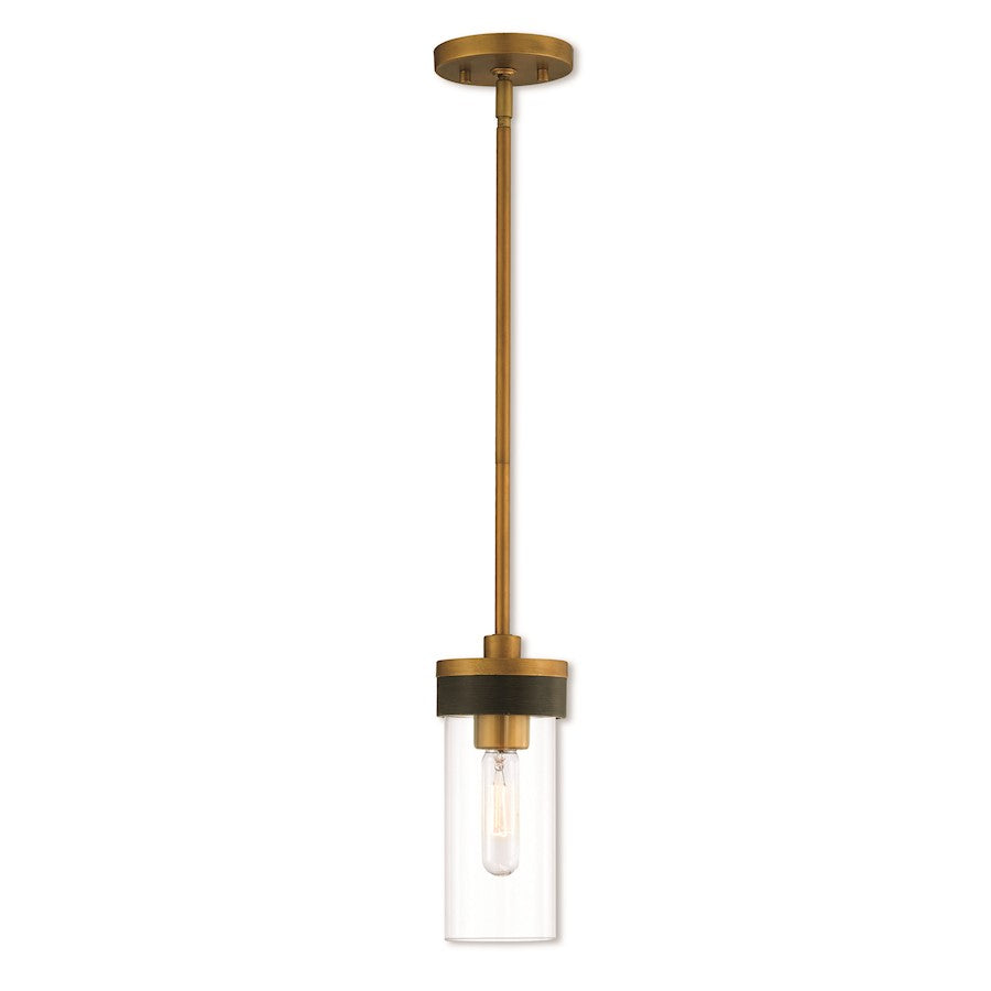 Livex Lighting Buttonwood 1 Light Mini Pendant