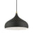 Livex Amador 1 Light Pendant