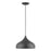 Livex Amador 1 Light Pendant