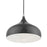 Livex Amador 1 Light Pendant