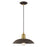 Livex Lighting Metal Shade 1 Light Mini Pendant