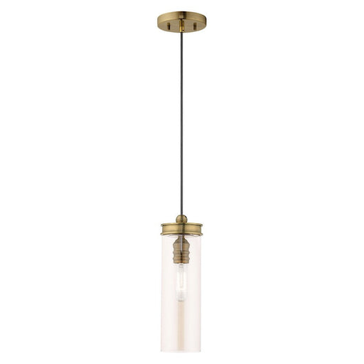 Livex Lighting Art Glass 1 Light Mini Pendant