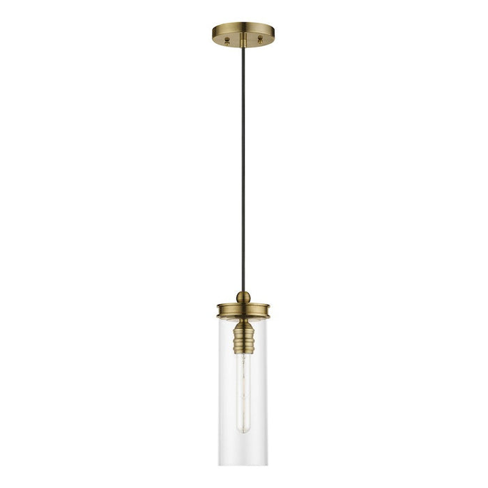 Livex Devoe 1 Light Mini Pendant