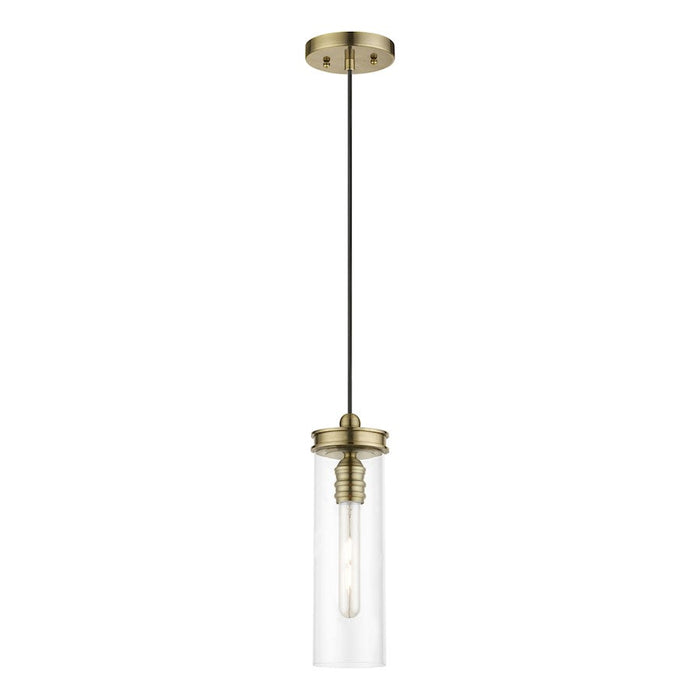 Livex Devoe 1 Light Mini Pendant