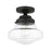 Livex Avondale 1 Light Semi-Flush, Black/Clear - 41291-04