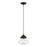 Livex Avondale 1 Light Mini Pendant, BK/Brushed NK Accent - 41293-04