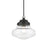 Livex Avondale 1 Light Mini Pendant