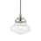 Livex Avondale 1 Light Mini Pendant