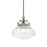 Livex Avondale 1 Light Mini Pendant