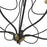 Livex Katarina Chandelier, Black/Brass Accents