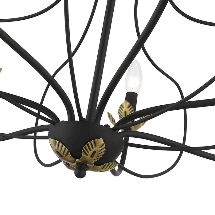 Livex Katarina Chandelier, Black/Brass Accents