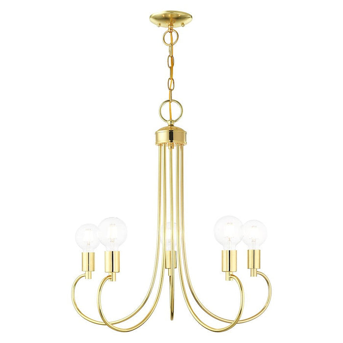 Livex Bari 5 Light Chandelier, Polished Brass - 42925-02