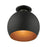 Livex Piedmont 1 Light Semi-Flush Mount