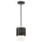 Livex Noria 1 Light Pendant, Black - 46259-04