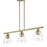 Livex Montgomery 3 Light Linear Chandelier, Antique Brass/Clear