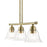 Livex Moreland 3 Light Linear Chandelier