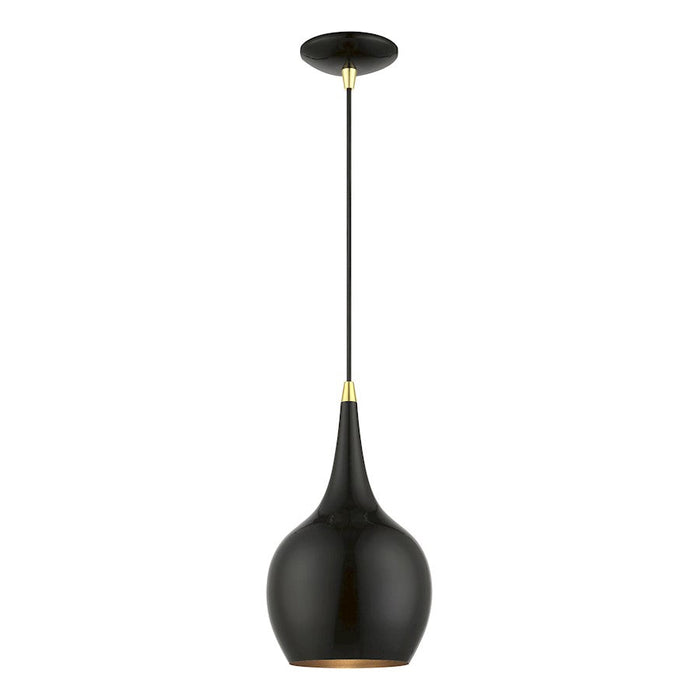 Livex Andes 1 Light Mini Pendant, BK/Polished BS/BK Steel/Gold - 49016-68