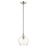 Livex Light Pendants 11" 1 Light Pendant, Brushed Nickel/Clear Glass - 49088-91