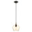 Livex Light Pendants 1 Light Pendant, Bronze/Brass/EP Champagne - 49089-92