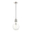 Livex Light Pendants 1 Light Pendant, Brushed Nickel/Clear Glass - 49092-91