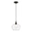 Livex Aldrich 1 Light 17" Pendant, Black/Brushed Nickel Accent/Clear - 49093-04