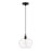 Livex Aldrich 1 Light Pendant