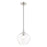 Livex Aldrich 1 Light Pendant, Brushed Nickel/Clear