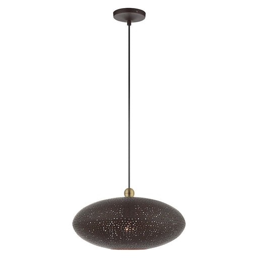 Livex Dublin 10.25" 1 Light Pendant, Bronze/Brass/Bronze/Gold - 49102-07