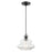 Livex Everett 1 Lt Pendant, Black/Chrome/Clear Art - 52831-68