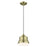 Livex Endicott 1 Light Mini Bell Pendant