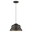 Livex Endicott 1 Light Bell Pendant, Bronze/Brass/Bronze Steel/Gold - 55902-07