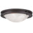 Livex Lighting Ariel 2 Light Ceiling Mount