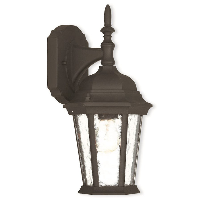 Livex Hamilton 12.5" 1 Light Outdoor Wall Lantern, Black/Clear Water - 75460-14