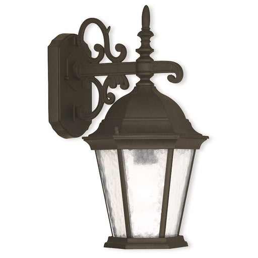 Livex Hamilton 15.25" 1 Light Outdoor Wall Lantern, Black/Clear Water - 75462-14