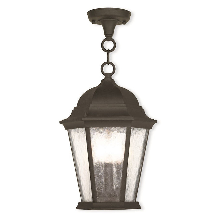 Livex Hamilton 14" 3 Light Outdoor Pendant Lantern, Black/Clear Water - 75469-14