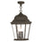 Livex Hamilton 3 Light Outdoor Pendant Lantern, Black/Clear Water - 75475-14