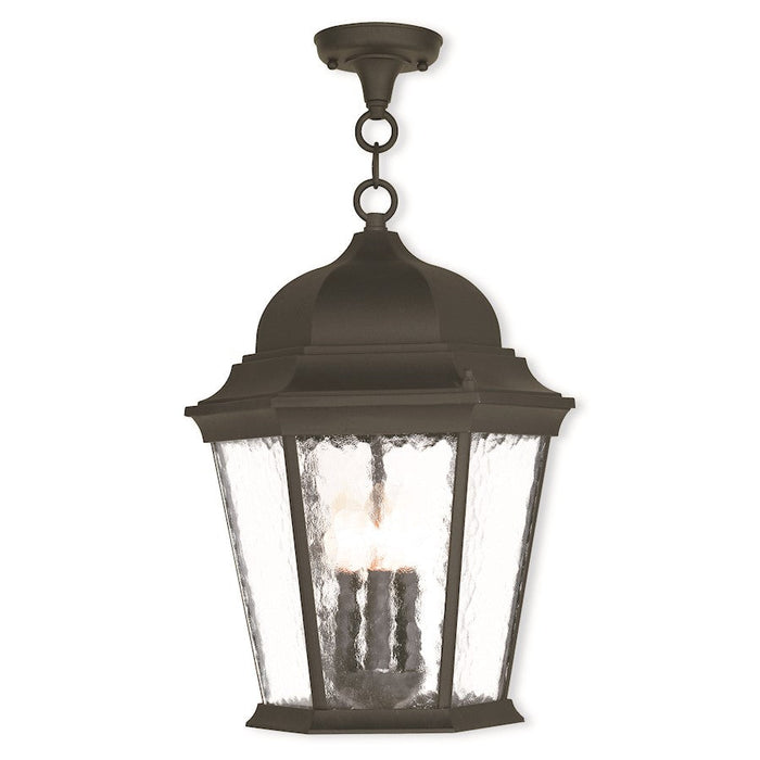 Livex Hamilton 3 Light Outdoor Pendant Lantern, Black/Clear Water - 75475-14