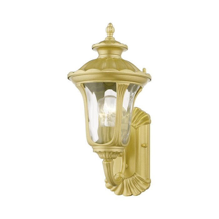 Livex Oxford 1 Lt Outdoor Small Wall Lantern, Gold/Clear Water