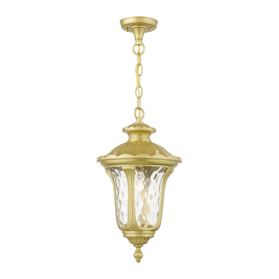 Livex Oxford 1 Lt Outdoor Med Pendant Lantern, Gold/Clear Water - 7854-33