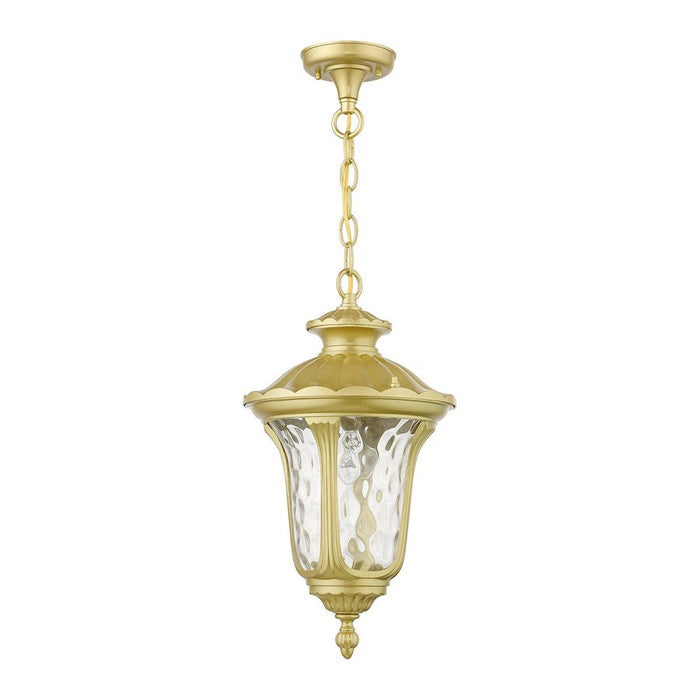 Livex Oxford 1 Lt Outdoor Med Pendant Lantern, Gold/Clear Water