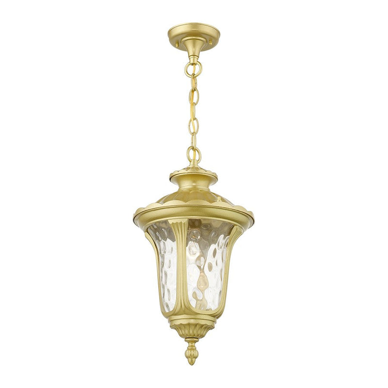 Livex Oxford 1 Lt Outdoor Med Pendant Lantern, Gold/Clear Water