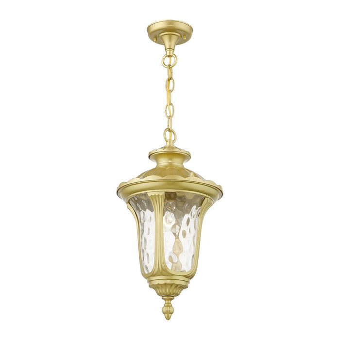 Livex Oxford 1 Lt Outdoor Med Pendant Lantern, Gold/Clear Water