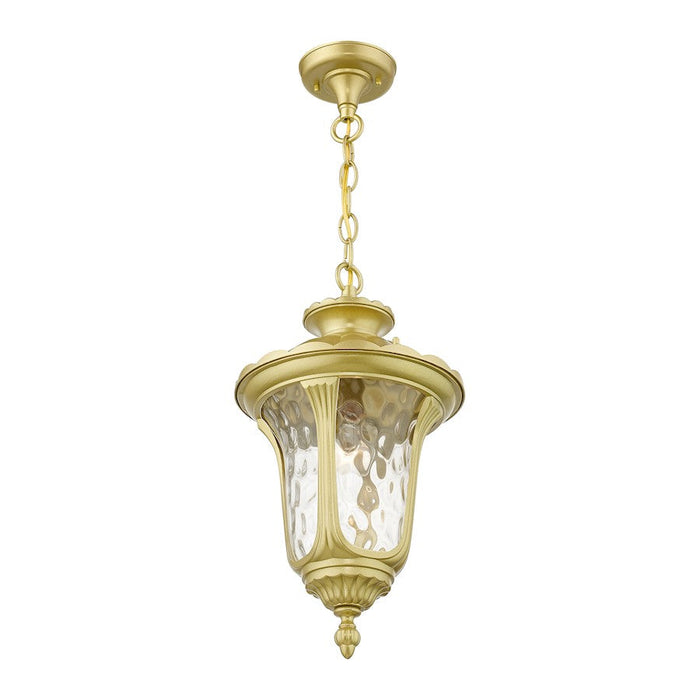 Livex Oxford 1 Lt Outdoor Med Pendant Lantern, Gold/Clear Water