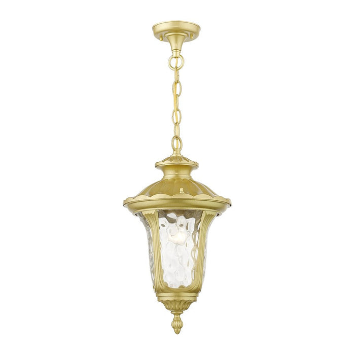 Livex Oxford 1 Lt Outdoor Med Pendant Lantern, Gold/Clear Water